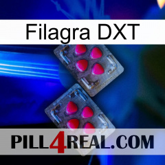 Filagra DXT 14
